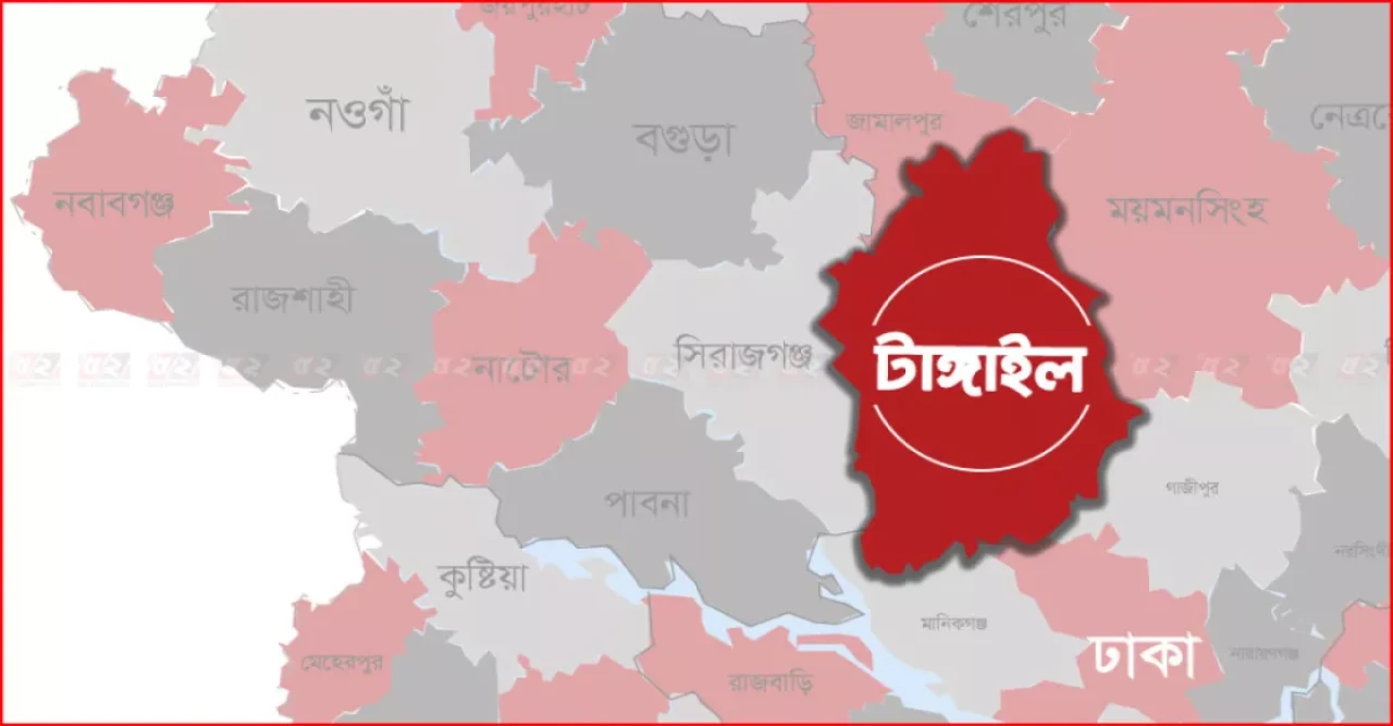 টাঙ্গাইলের বাঘিলে বাস-সিএনজি সংঘর্ষে নারীসহ তিনজন নিহত