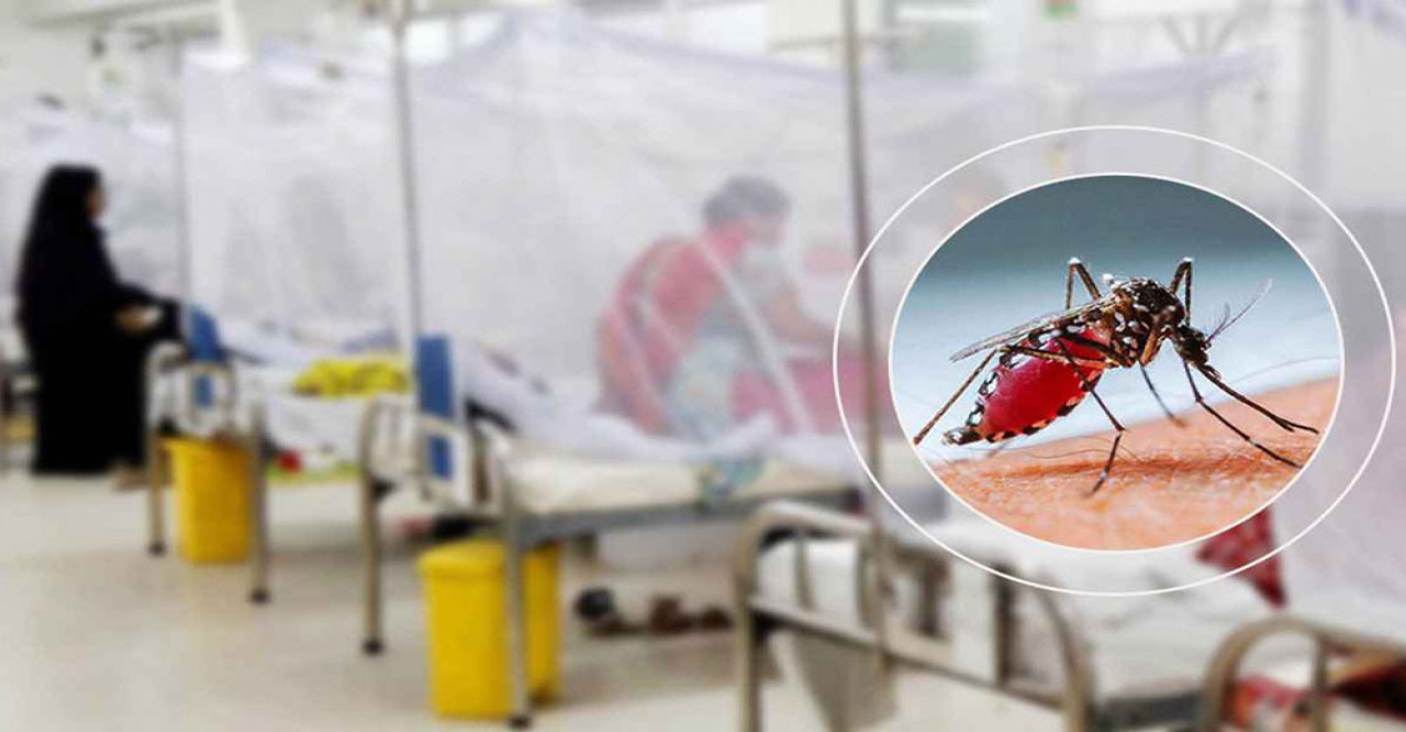 ২৪ ঘণ্টায় ডেঙ্গুতে আরও ৬ জনের মৃত্যু, হাসপাতালে ভর্তি ৬৪৭