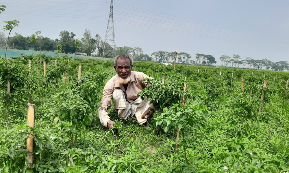 তেল নাই, বিদ্যুৎ নাই; বৃষ্টিই ভরসা’: জ্বালানি সংকটে কৃষকের নির্ভরতা প্রকৃতির ওপর