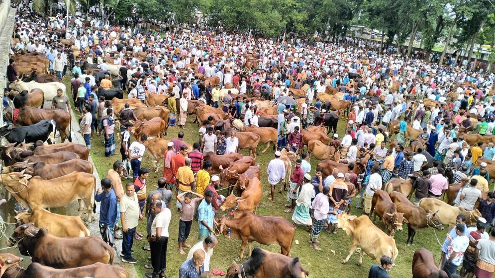 কোরবানির পশুর হাটে জাল নোট শনাক্তে বুথ বসানোর নির্দেশ বাংলাদেশ ব্যাংকের