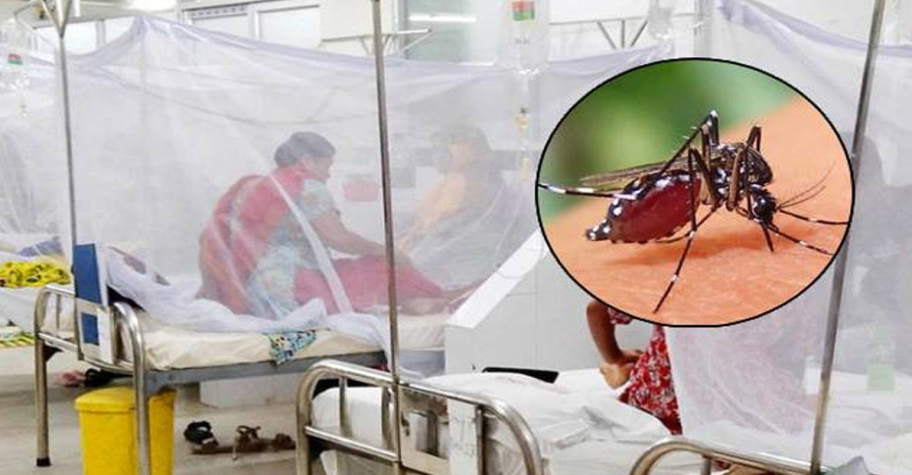 ডেঙ্গুতে আরও ২ জনের মৃত্যু, মোট প্রাণহানি ১৩২