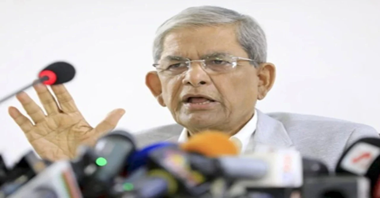 গণতন্ত্র উত্তরণে বিশ্বের সমর্থন রয়েছে: মির্জা ফখরুল