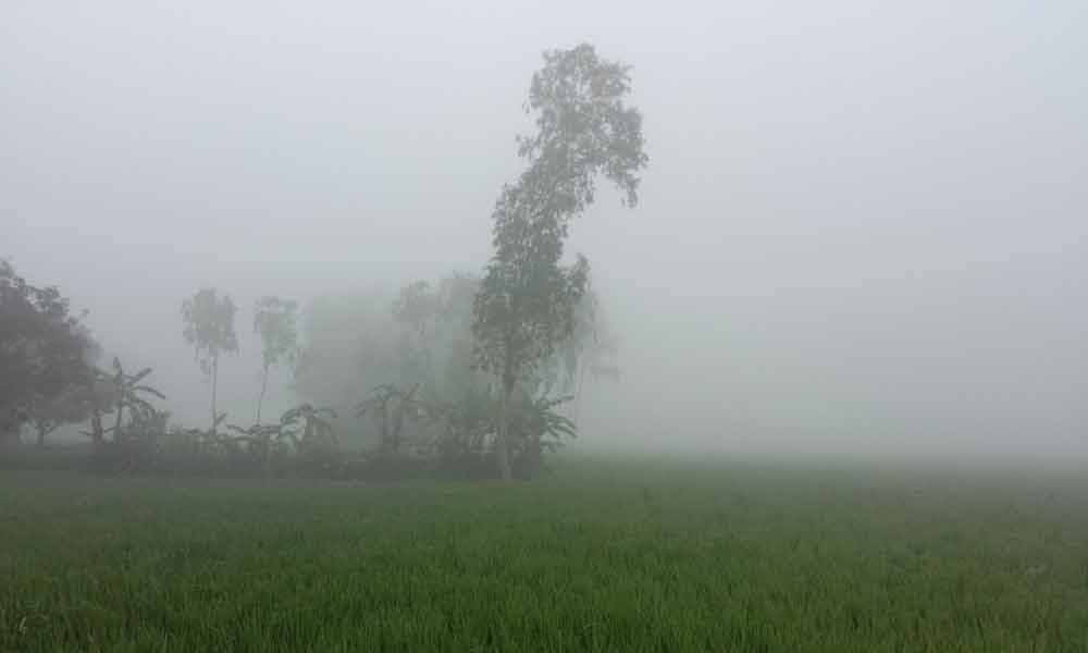 পঞ্চগড়ে তীব্র শীত, তেঁতুলিয়ায় তাপমাত্রা ৯ ডিগ্রি সেলসিয়াসে