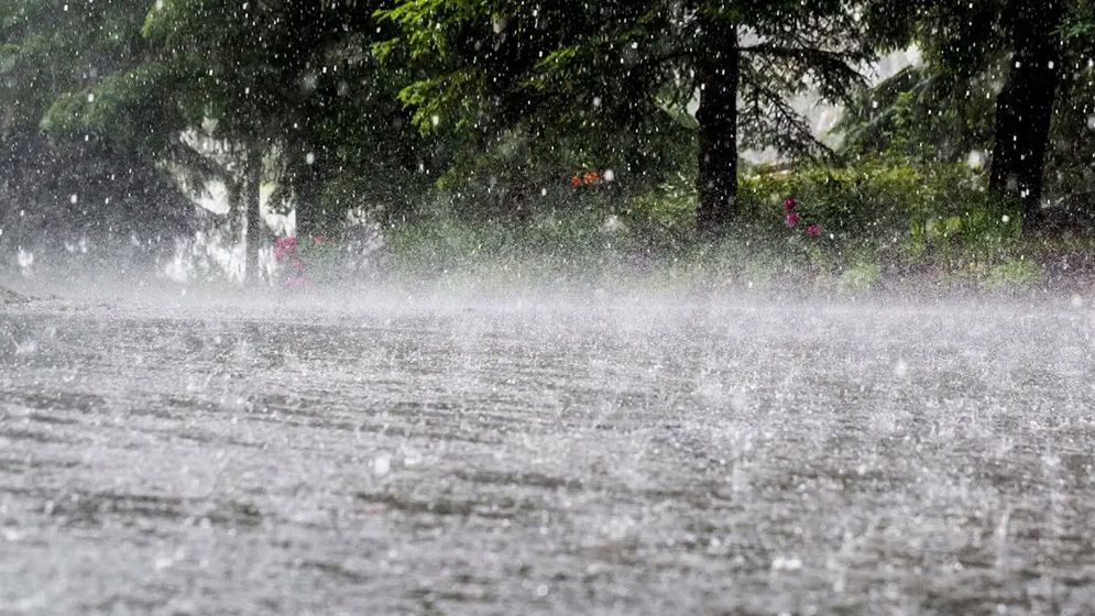 আগামী ৭২ ঘণ্টায় ছয় বিভাগে ভারী থেকে অতি ভারী বৃষ্টির পূর্বাভাস