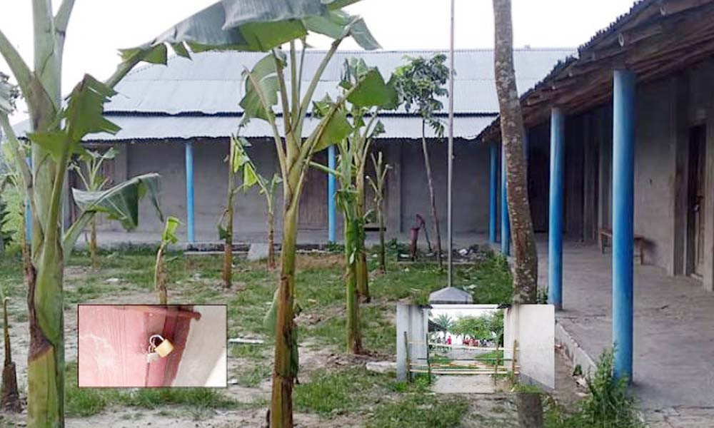 পুত্রবধূকে চাকরি না দেওয়ার অভিযোগে স্কুলের মাঠে কলাগাছ, ফটকে বাঁশের বেড়া
