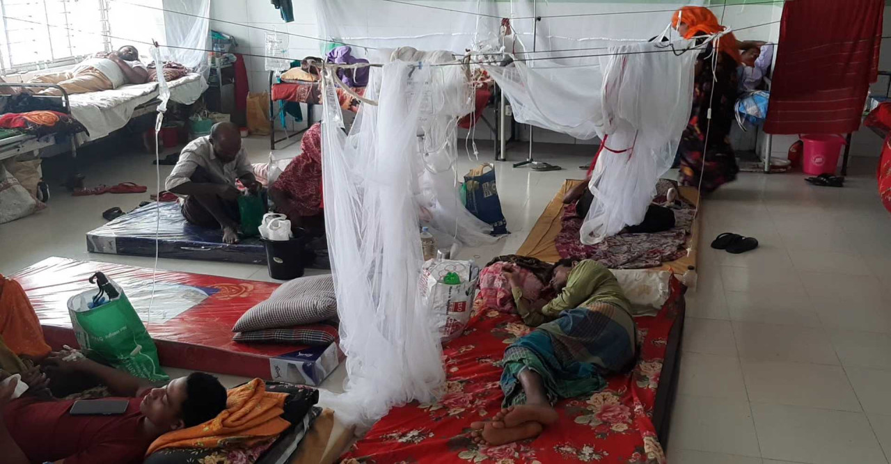বরগুনায় ডেঙ্গুতে মৃত্যু বেড়ে ২৮, অধিকাংশই সদর উপজেলার