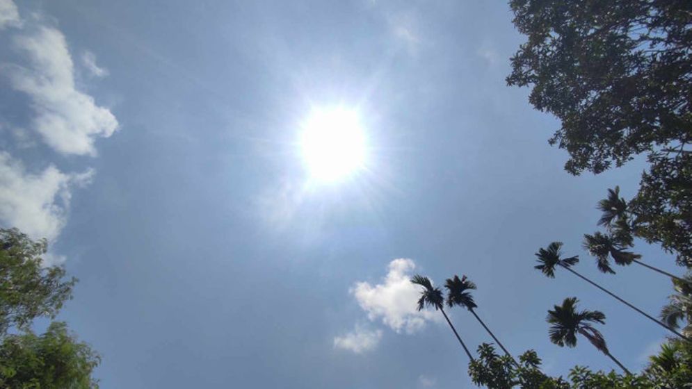 মাঘ মাসেও শীত কম, বাড়ছে তাপমাত্রা—কী বলছে আবহাওয়া অফিস