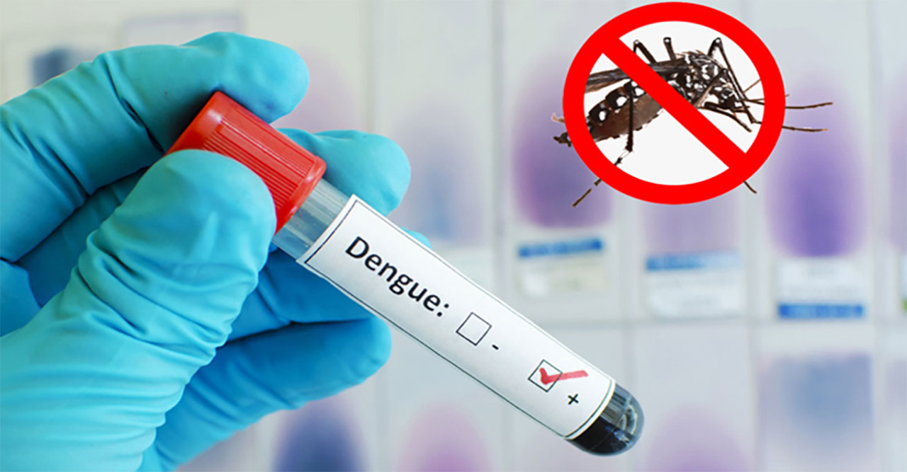 ডেঙ্গুতে মৃতের সংখ্যা বেড়ে ৫২, বরিশালে আক্রান্ত সবচেয়ে বেশি
