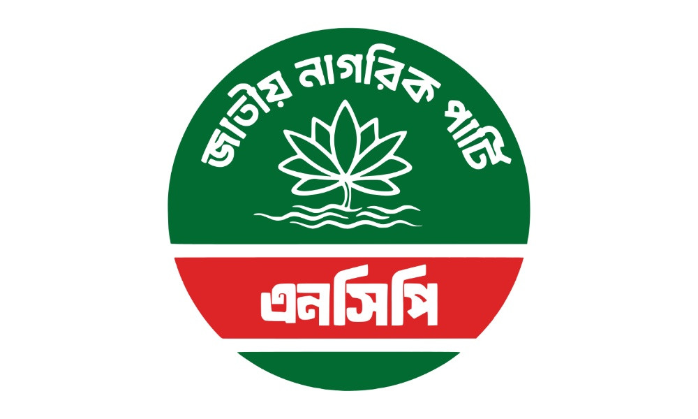 ভোটে কেন্দ্র দখলসহ ২১ অভিযোগ এনসিপির