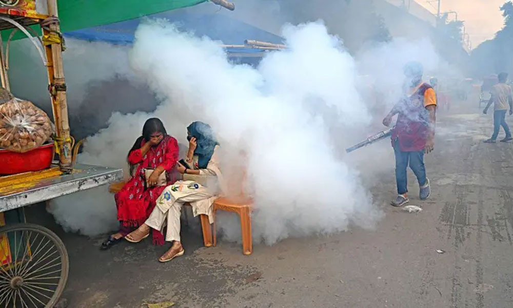 দেশে মশা বাড়ার পেছনে তিন কারণ চিহ্নিত
