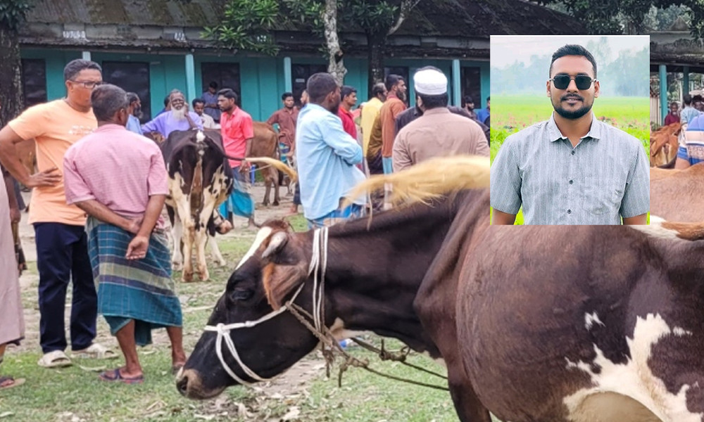 অনুমতি ছাড়াই কলেজ মাঠে গরুর হাট বসানোর অভিযোগ, তালা ভেঙে প্রবেশের দাবি
