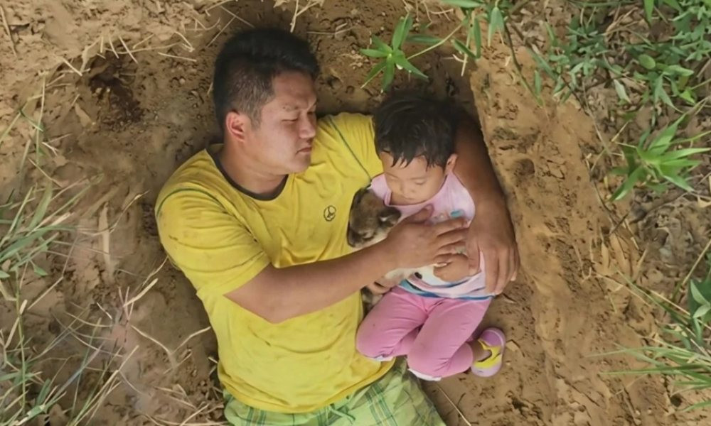 যে কবর আজ সূর্যমুখীর বাগান